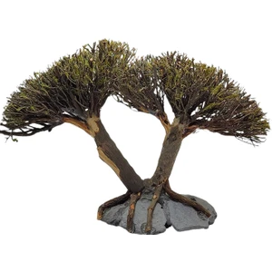 Marimo Scape Ikili Ağaç Figürü 'l'