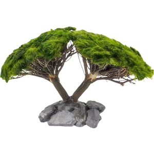 Marimo Scape Ikili Ağaç Figürü Moss Sarılı 's'