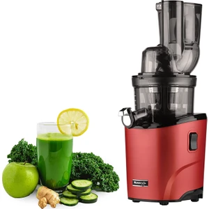 REVO830 Slow Juicer
