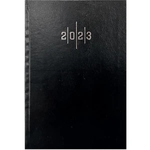 LİZZ AJ907 2019 ekonomik 17x24 cilt bezli 2019 ajanda
