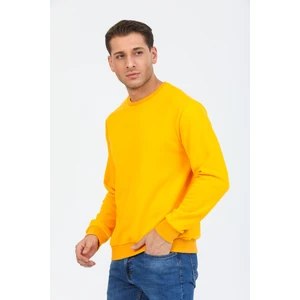 Sarı Kapüşonsuz Bisiklet Yaka Basic Sweatshirt