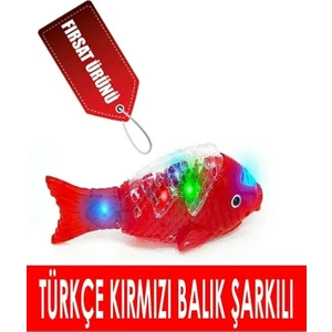 Can Toys Müzikli[kırmızı Balık Kaç Şarkısı]ışıklı Yürüyen 23 cm Pilli Oyuncak Balık