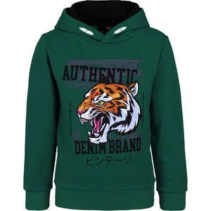 BRZ Collection Kaplan Baskılı Erkek Çocuk Kapüşonlu Sweatshirt
