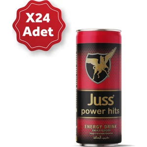 Power Hits Enerji Içeceği 500 ml × 24 Adet
