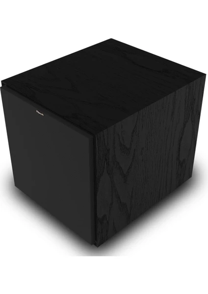 R-101SW Subwoofer Siyah