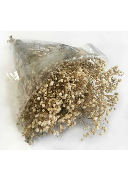 Çiçek Doğal Cipso Pk:50 gr Naturel Kl:35