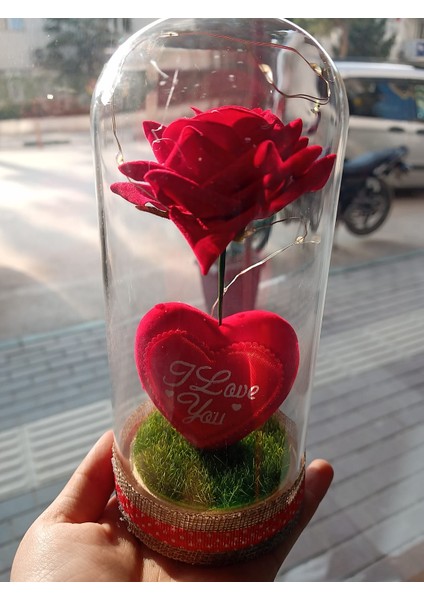 Kırmızı Gül Fanus Dekoratif