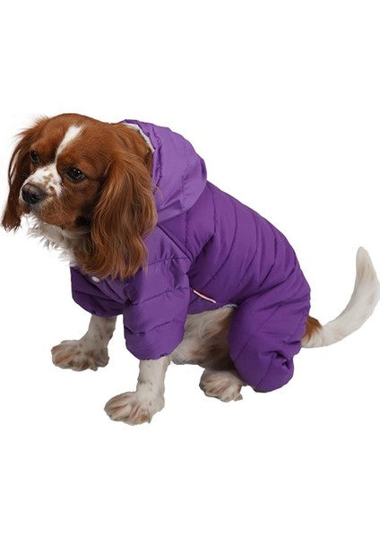 Sport Küçük Irk Köpek Yağmurluk Tulumu Mor