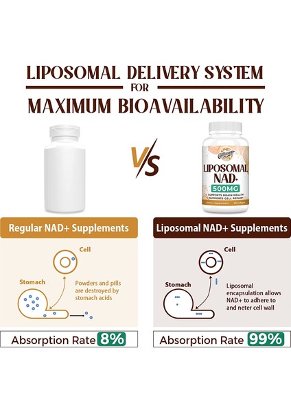 Liposomal Nad+ 500 mg True Nad Not Precursor 60 Softgels 60 Günlük Kullanım modelleri