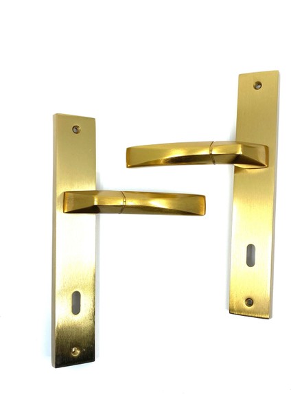 Istanbul Door Handles Kristal Aynalı Mat Altın Kapı Kolu Oda