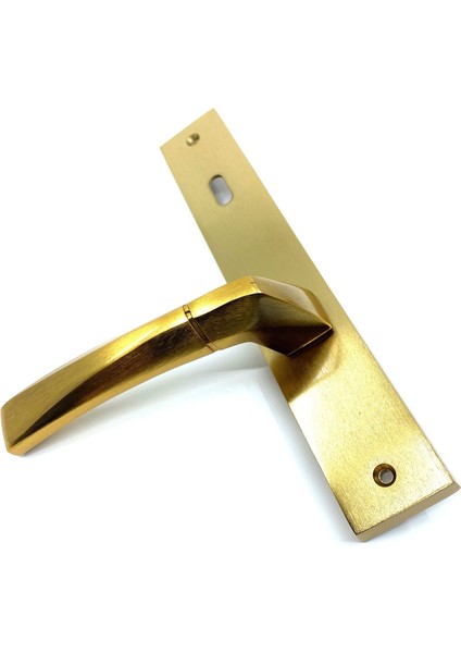 Istanbul Door Handles Kristal Aynalı Mat Altın Kapı Kolu Oda modelleri