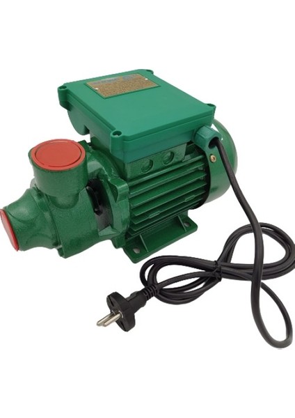 PM45 - 220V - 0.5 Hp Santrifüj Su Pompası / %100 Bakır Sargı