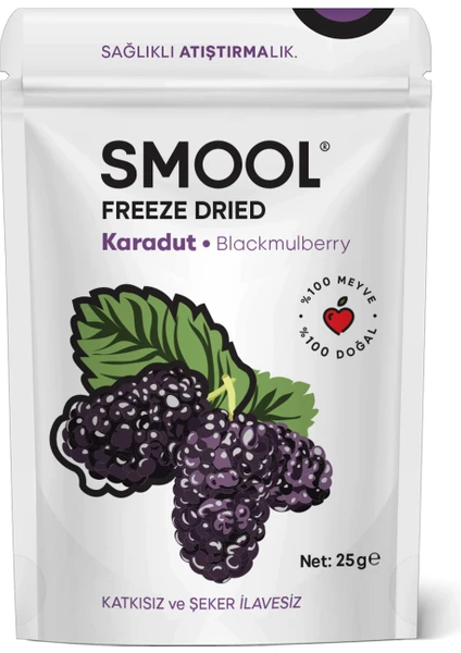 Freeze Dried (Dondurularak Kurutulmuş) Karadut 25 gr Sağlıklı Atıştırmalık