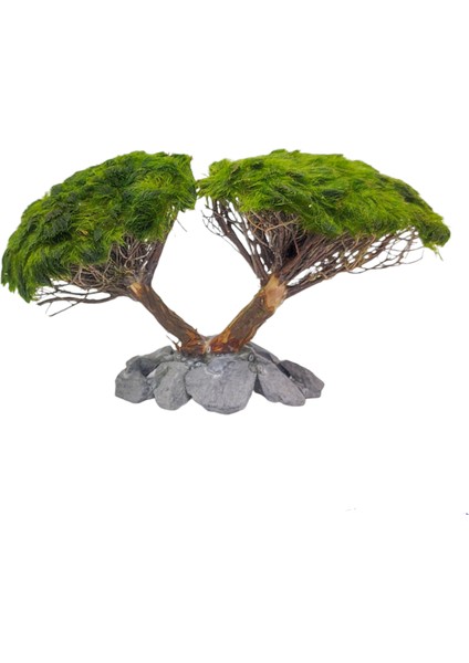 Ikili Ağaç Figürü Moss Sarılı 'm'