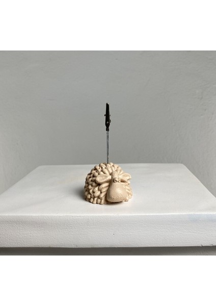 Krem Kuzu Not Tutucu