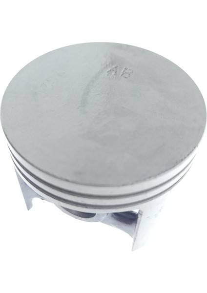 Stıhl 08 Benzinli Testere 49 mm Piston