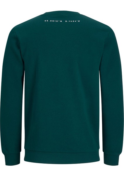 Erkek Bisiklet Yaka Baskılı Sweatshirt 12220583 fiyatları