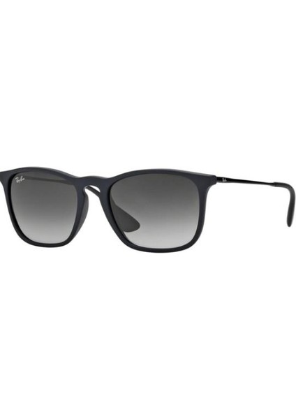 0RB4187 622-8G S54 Unisex Güneş Gözlüğü