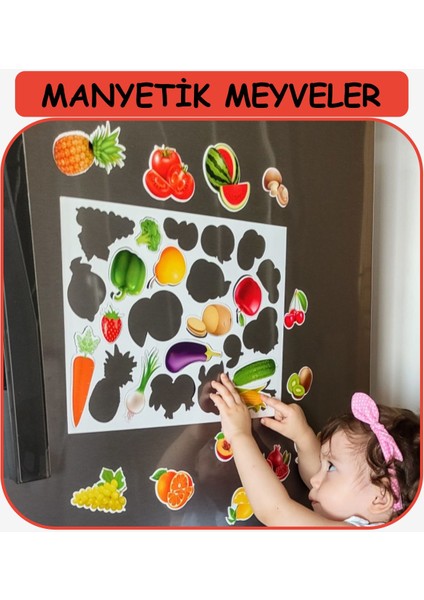 Buzdolabı Eğitici Manyetik Meyveler/sebzeler - Manyetik Bultak Şablon Eğitici Oyuncak