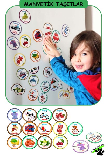 Buzdolabı Eğitici 4' Lü Set Manyetik Hayvanlar / Meyveler/taşıtlar/puzzel - Bultak Şablon Eğitici fiyatları