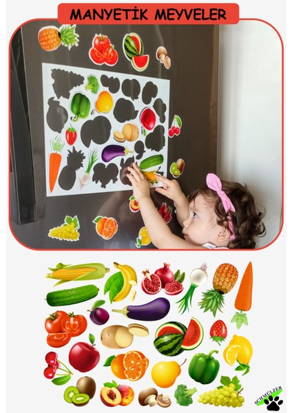 Buzdolabı Eğitici 4' Lü Set Manyetik Hayvanlar / Meyveler/taşıtlar/puzzel - Bultak Şablon Eğitici modelleri