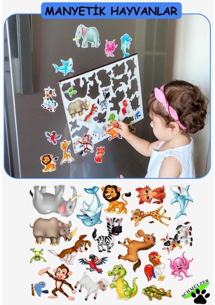 Buzdolabı Eğitici 4' Lü Set Manyetik Hayvanlar / Meyveler/taşıtlar/puzzel - Bultak Şablon Eğitici fırsatları