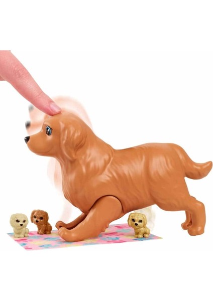 ve Hayvan Dostları HCK75 modelleri