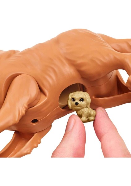 ve Hayvan Dostları HCK75 fırsatları