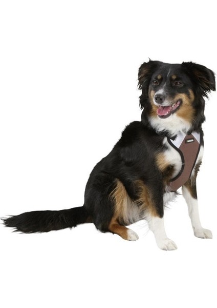 Köpek Gövde Tasması Pulsive Boyun 36-50CM - Göğüs 46-60CM