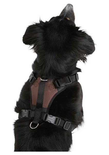 Köpek Gövde Tasması Pulsive Boyun 36-50CM - Göğüs 46-60CM