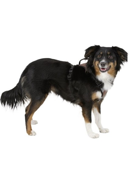 Köpek Gövde Tasması Pulsive Boyun 36-50CM - Göğüs 46-60CM
