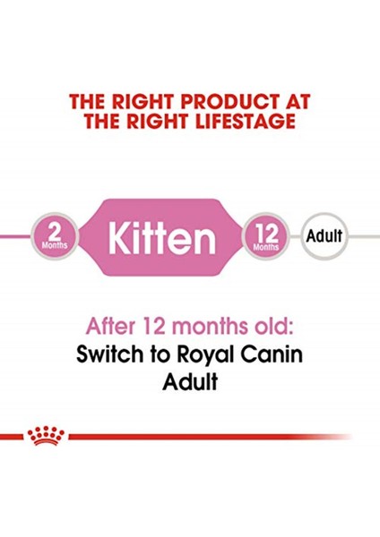 Kitten Yavru Kedi Maması, 400 gr
