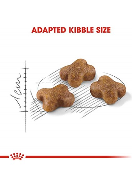 Kitten Yavru Kedi Maması, 400 gr