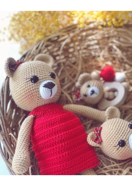 Zeynp Hobi Dünyam Zeynphobidunyam   Amigurumi Amour Ayıcık Set