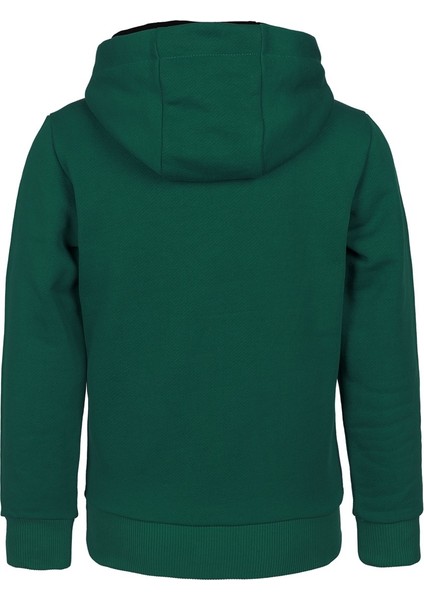 Kaplan Baskılı Erkek Çocuk Kapüşonlu Sweatshirt