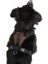Köpek Gövde Tasması Pulsive Boyun 36-50CM - Göğüs 46-60CM 3