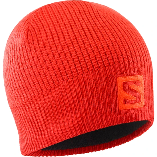 Salomon Logo Bere