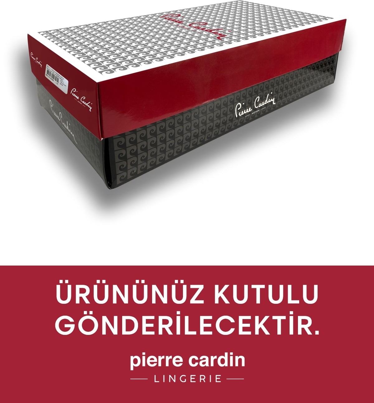 Pierre Cardin 2'li Ekonomik Paket Ekru-Lacivert 6224 Barcelona Balenli Desteksiz Dantelli Toparlayıcı Sütyen Set (C Cup Seçeneğiyle) görsel 5