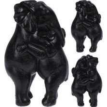 Boyner Evde Dekoratif, Bedensiz, Renksiz