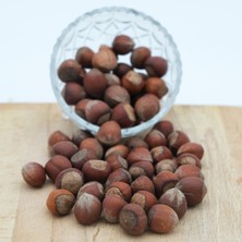 Mazi Kuruyemiş  Tuzlu Kavrulmuş Kabuklu Fındık 1 kg