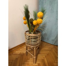 Renesse Home Lagos El Yapımı Rattan Çiçeklik / Saksı