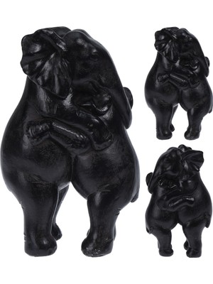 Boyner Evde Dekoratif, Bedensiz, Renksiz