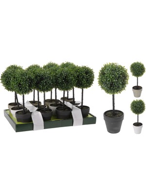 Boyner Evde Dekoratif, Bedensiz, Renksiz