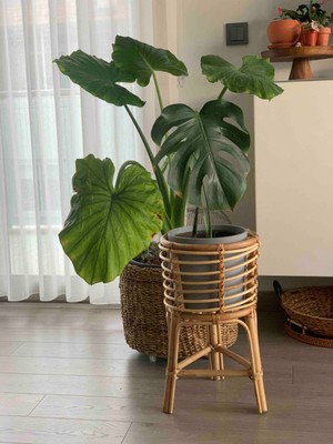 Renesse Home Lagos El Yapımı Rattan Çiçeklik / Saksı