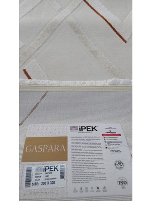 Ipek Halı GASPARA14961 200X300(6M2) Akrilik(Yün)Halı