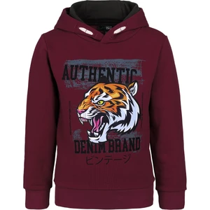 BRZ Collection Kaplan Baskılı Erkek Çocuk Kapüşonlu Sweatshirt