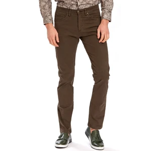 Regular Fit Yeşil Erkek Pantolon 06530920