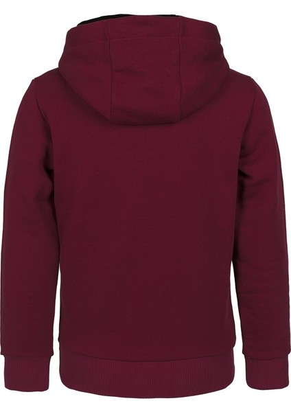 Kaplan Baskılı Erkek Çocuk Kapüşonlu Sweatshirt