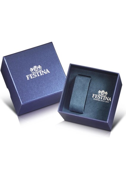 Festına F20285/4 Erkek Kol Saati