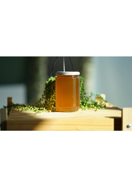 Giresun Yöresel % 100 Doğal Çiçek Bal 1 Kilogram